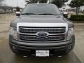 2010 Sterling Grey Metallic Ford F150 Platinum SuperCrew 4x4  photo #2