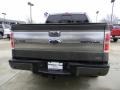 2010 Sterling Grey Metallic Ford F150 Platinum SuperCrew 4x4  photo #4