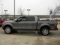 2010 Sterling Grey Metallic Ford F150 Platinum SuperCrew 4x4  photo #5