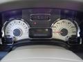 Camel Gauges Photo for 2011 Ford Expedition #60314018