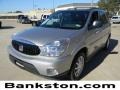 Platinum Metallic 2006 Buick Rendezvous CXL