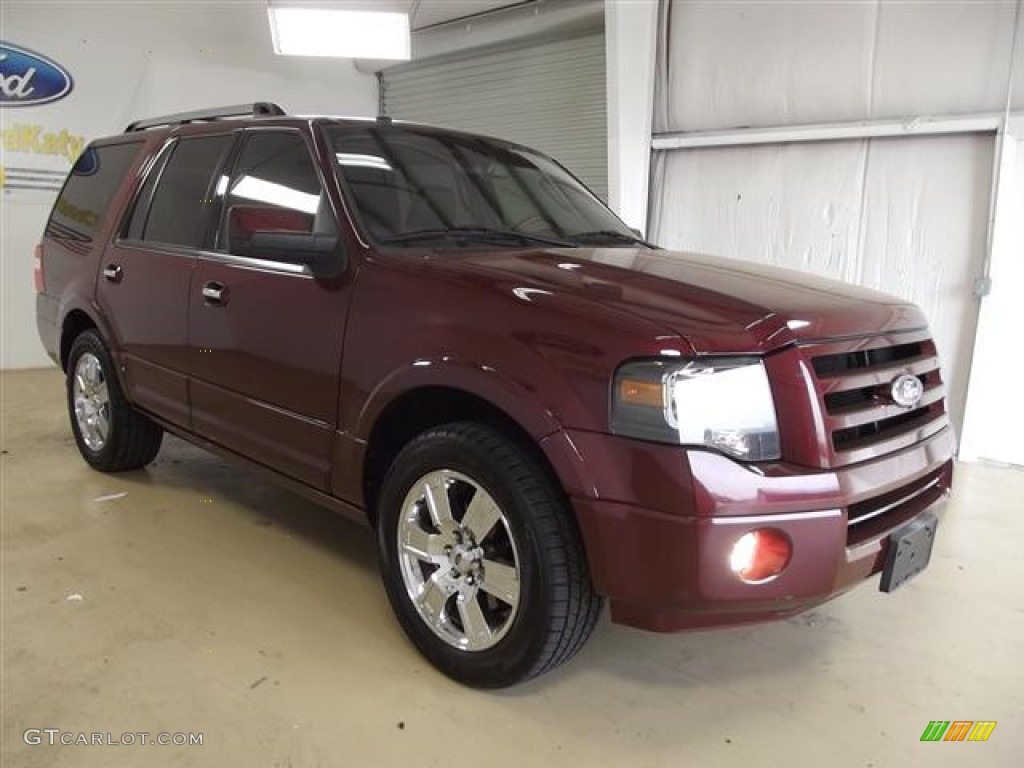 2009 Expedition Limited - Royal Red Metallic / Charcoal Black photo #3