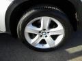 Titanium Silver Metallic - X5 3.0si Photo No. 30