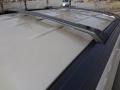 Linen Gold Metallic Pearl - Pacifica Touring Photo No. 8