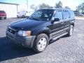 Black Clearcoat - Escape XLT V6 4WD Photo No. 1