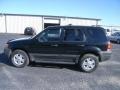 2003 Black Clearcoat Ford Escape XLT V6 4WD  photo #8