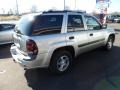 Silverstone Metallic - TrailBlazer LS 4x4 Photo No. 8