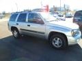 Silverstone Metallic - TrailBlazer LS 4x4 Photo No. 9