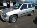 Silverstone Metallic - TrailBlazer LS 4x4 Photo No. 10