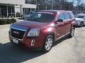 Merlot Jewel Metallic - Terrain SLE Photo No. 1