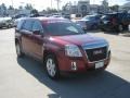 Merlot Jewel Metallic - Terrain SLE Photo No. 7