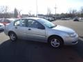 Silver Nickel - ION 1 Sedan Photo No. 4