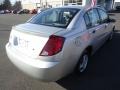 Silver Nickel - ION 1 Sedan Photo No. 6