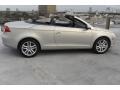 Opal Silver 2010 Volkswagen Eos Lux Exterior