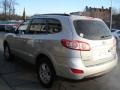 Radiant Silver - Santa Fe GLS 4WD Photo No. 6