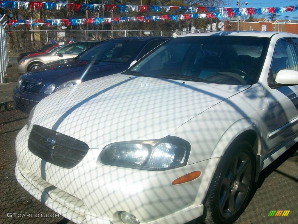 2001 Maxima SE - Icelandic White Pearl / Black photo #1