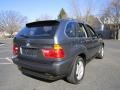 2003 Steel Grey Metallic BMW X5 4.4i  photo #7