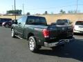 2009 Timberline Green Nissan Titan PRO-4X King Cab 4x4  photo #5