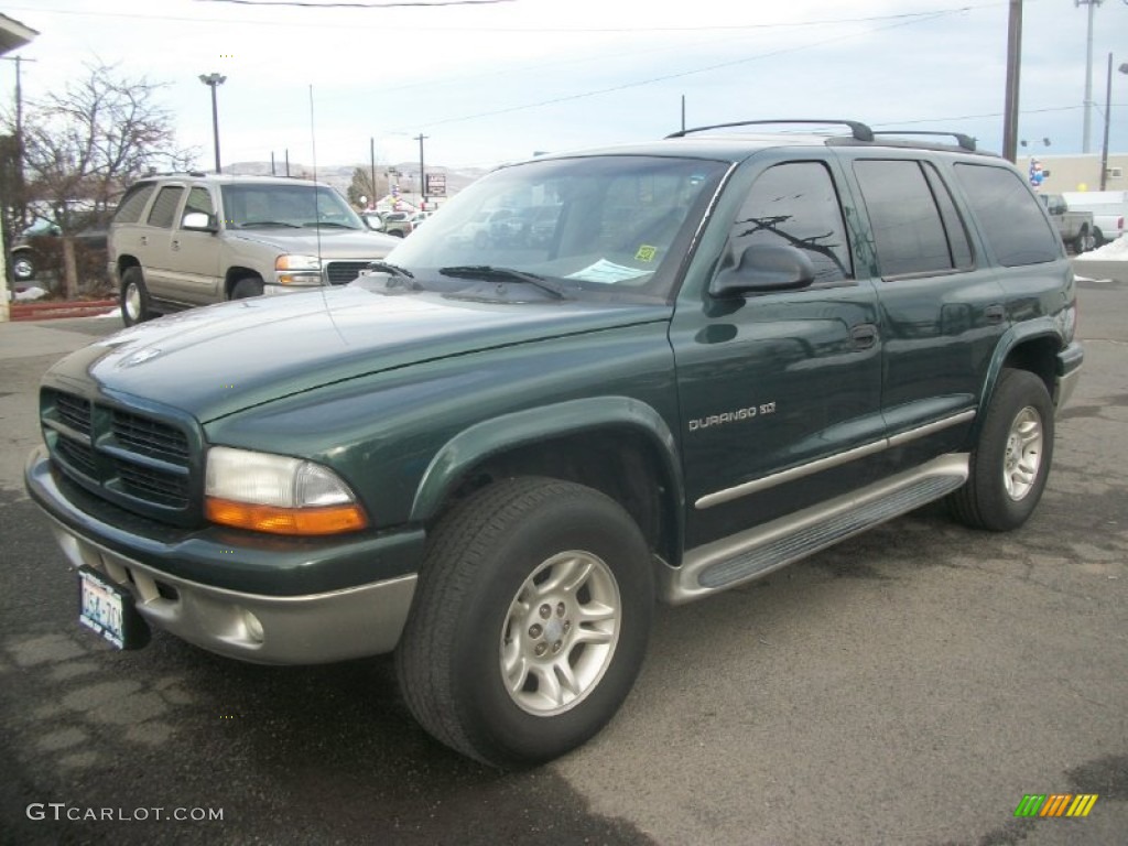 2001 Durango SLT 4x4 - Forest Green Pearl / Taupe photo #5