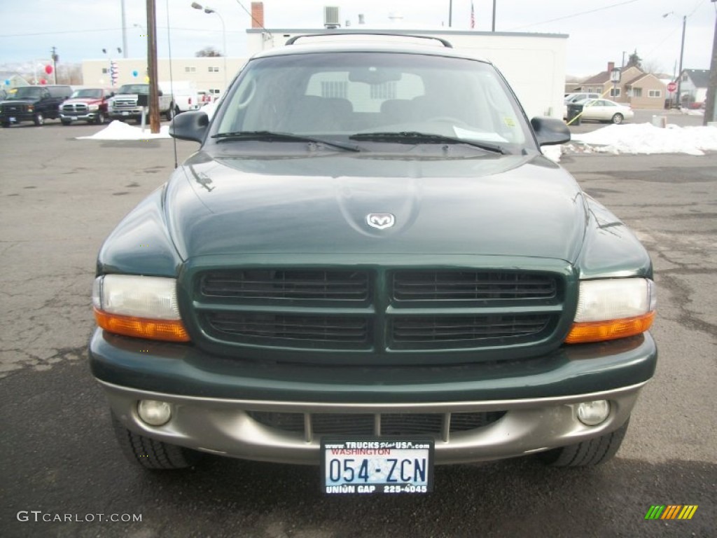 2001 Durango SLT 4x4 - Forest Green Pearl / Taupe photo #6