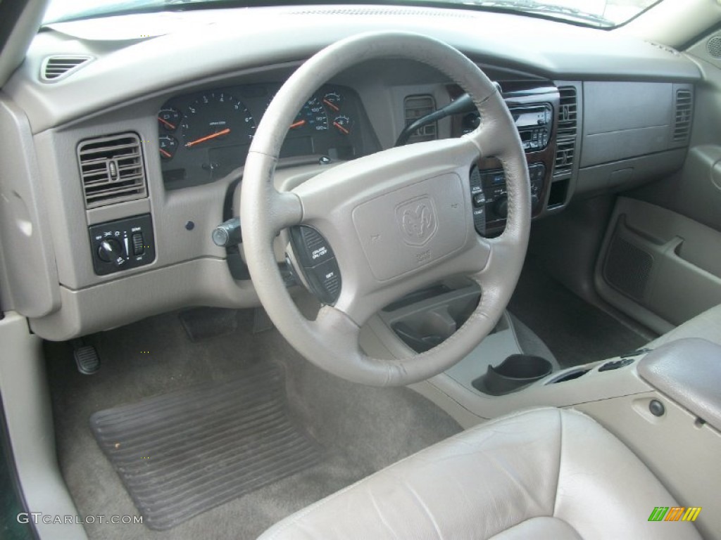 2001 Durango SLT 4x4 - Forest Green Pearl / Taupe photo #8