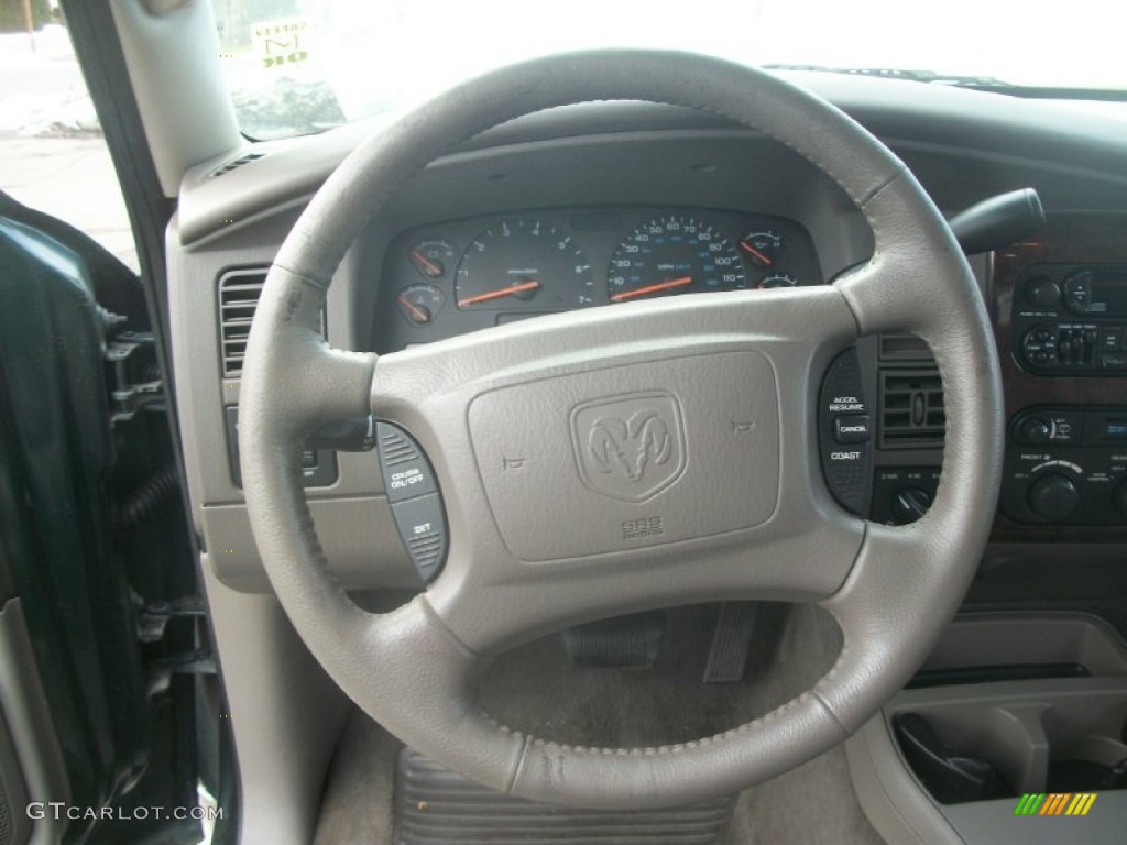 2001 Durango SLT 4x4 - Forest Green Pearl / Taupe photo #13