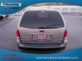 Arizona Beige Metallic - Freestar SES Photo No. 6