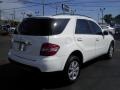 Alabaster White - ML 350 4Matic Photo No. 11
