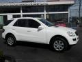 Alabaster White - ML 350 4Matic Photo No. 12