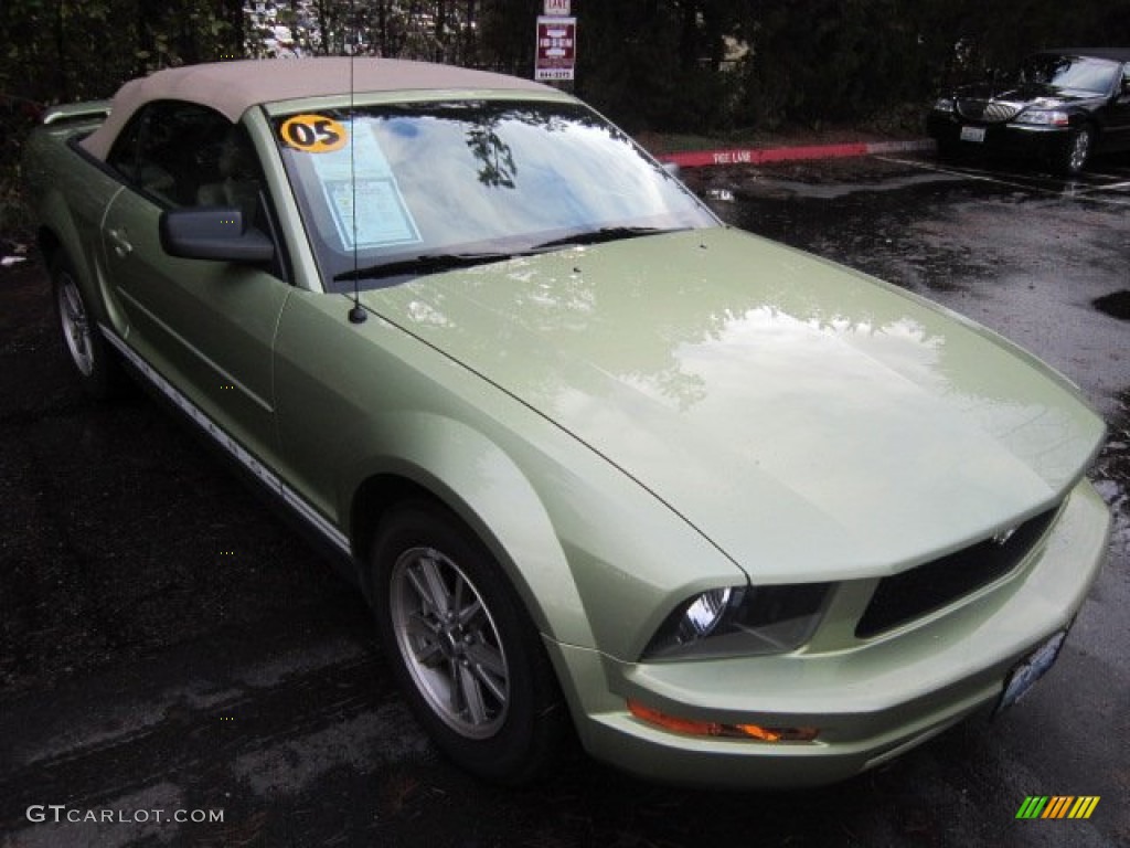 2005 Mustang V6 Deluxe Convertible - Legend Lime Metallic / Medium Parchment photo #3