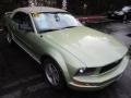 2005 Legend Lime Metallic Ford Mustang V6 Deluxe Convertible  photo #3