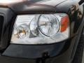 2004 Black Ford F150 FX4 SuperCrew 4x4  photo #10