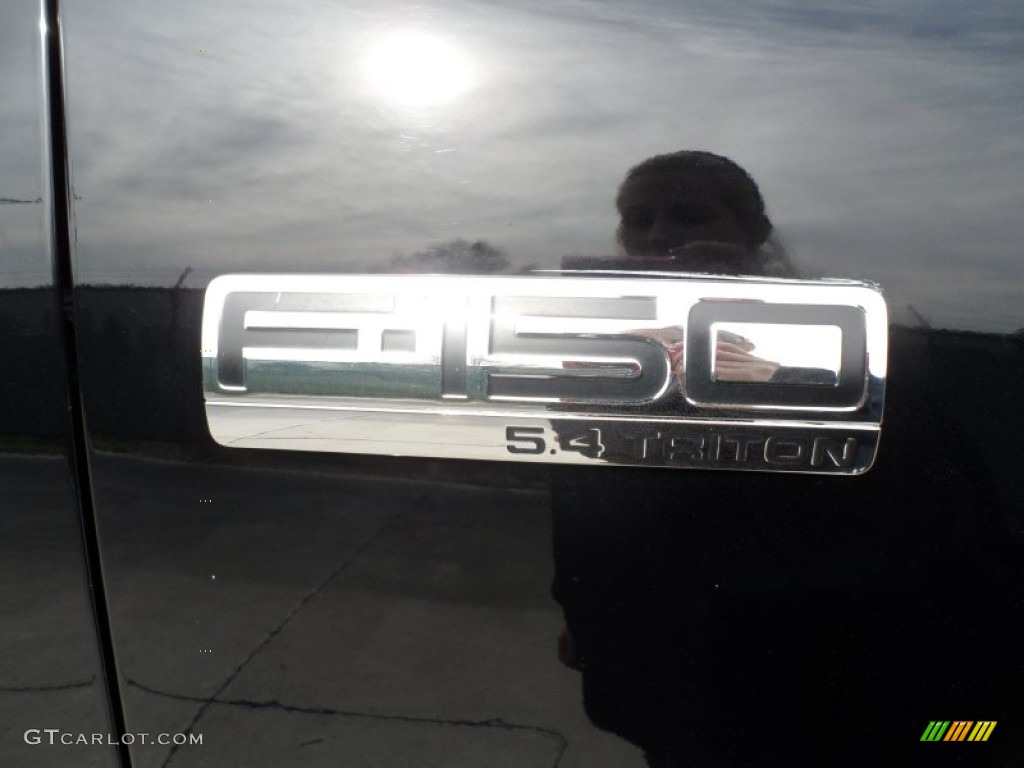 2004 F150 FX4 SuperCrew 4x4 - Black / Black/Medium Flint photo #16
