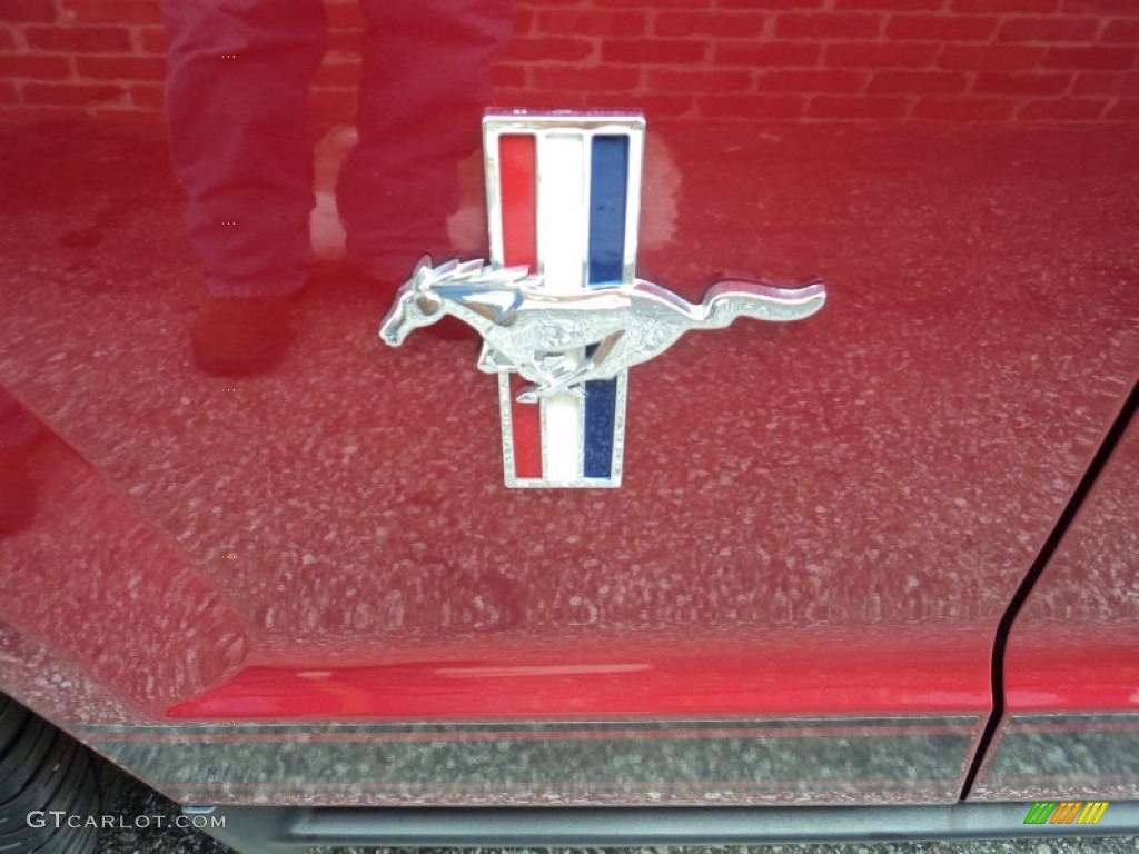 2007 Mustang V6 Premium Coupe - Redfire Metallic / Light Graphite photo #22