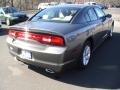 Tungsten Metallic - Charger SE Photo No. 4