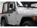 2002 Bright Silver Metallic Jeep Wrangler X 4x4  photo #6