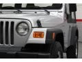 2002 Bright Silver Metallic Jeep Wrangler X 4x4  photo #11