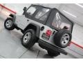 2002 Bright Silver Metallic Jeep Wrangler X 4x4  photo #21