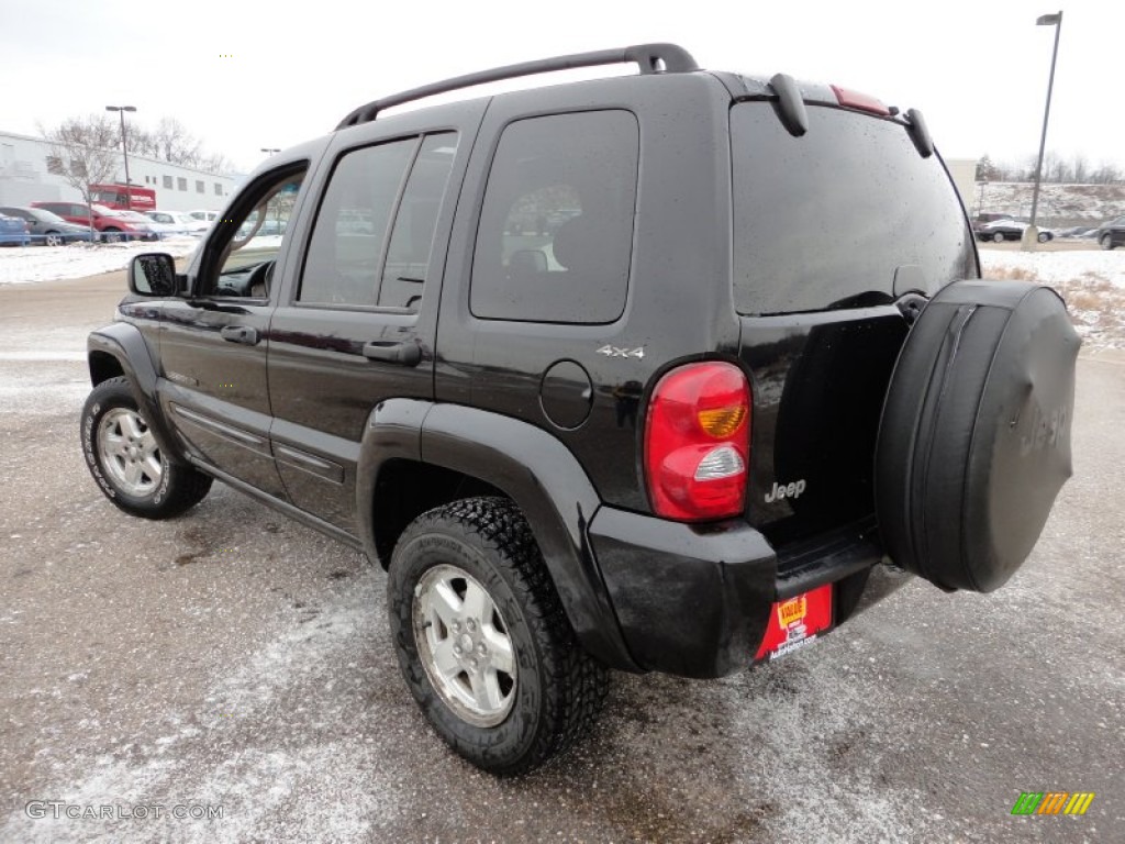 2002 Liberty Limited 4x4 - Black / Dark Slate Gray photo #10