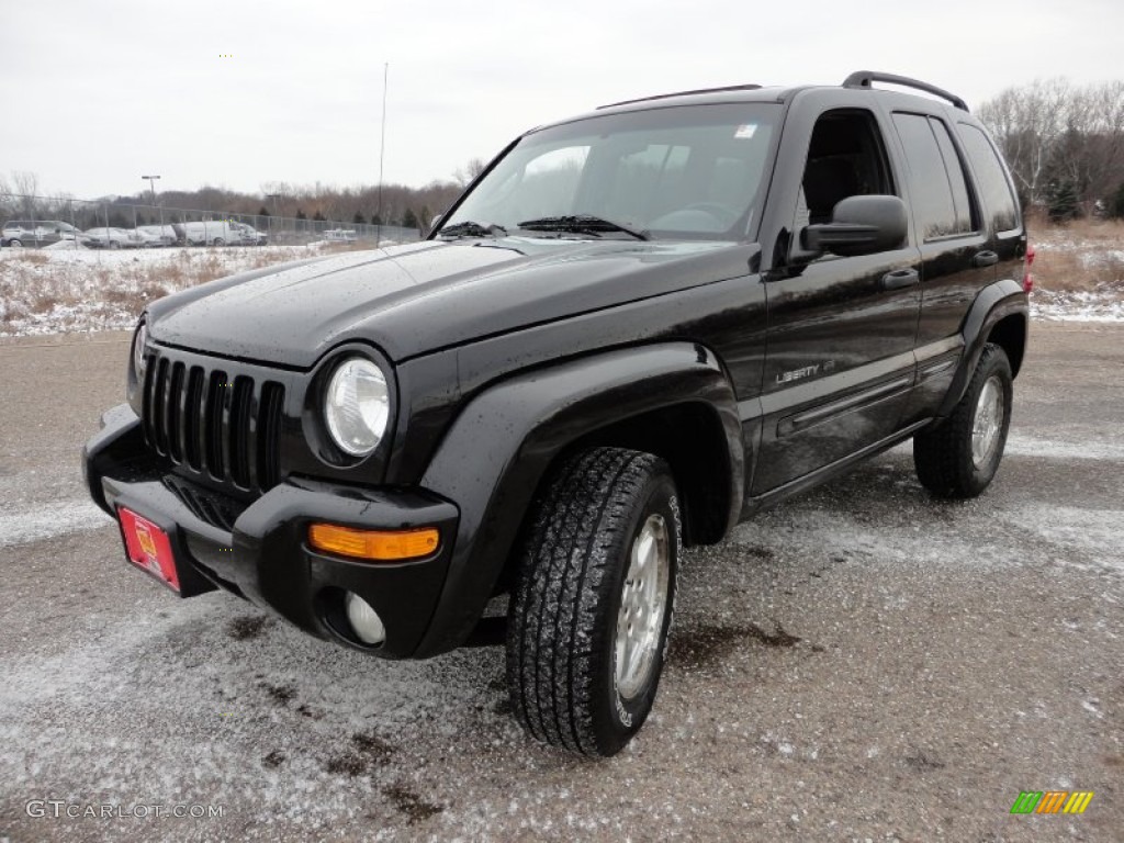 2002 Liberty Limited 4x4 - Black / Dark Slate Gray photo #11