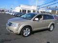 2009 Light Sandstone Metallic Dodge Journey SXT AWD  photo #5