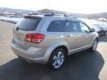 2009 Light Sandstone Metallic Dodge Journey SXT AWD  photo #10