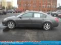 Liquid Silver Metallic - Maxima 3.5 SE Photo No. 5