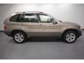 Kalahari Beige Metallic - X5 4.4i Photo No. 7