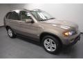 Kalahari Beige Metallic - X5 4.4i Photo No. 8
