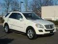 2010 Arctic White Mercedes-Benz ML 350 BlueTEC 4Matic  photo #1