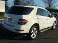 2010 Arctic White Mercedes-Benz ML 350 BlueTEC 4Matic  photo #7