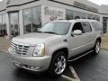 Quicksilver - Escalade ESV AWD Photo No. 1
