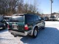 Imperial Jade Mica - 4Runner Limited 4x4 Photo No. 5