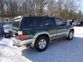 Imperial Jade Mica - 4Runner Limited 4x4 Photo No. 6